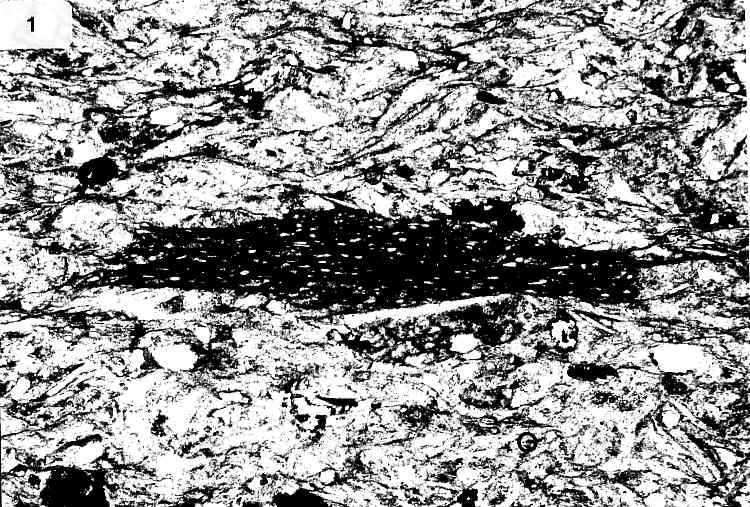 Gesteinsbruchst&uuml;ck mit vitroklastischen Strukturen